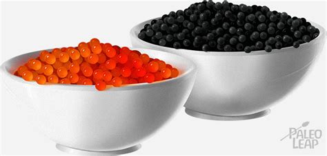 All About Fish Eggs .